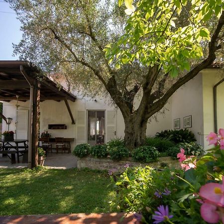 Trecentolivi B&B Montignano Exteriér fotografie