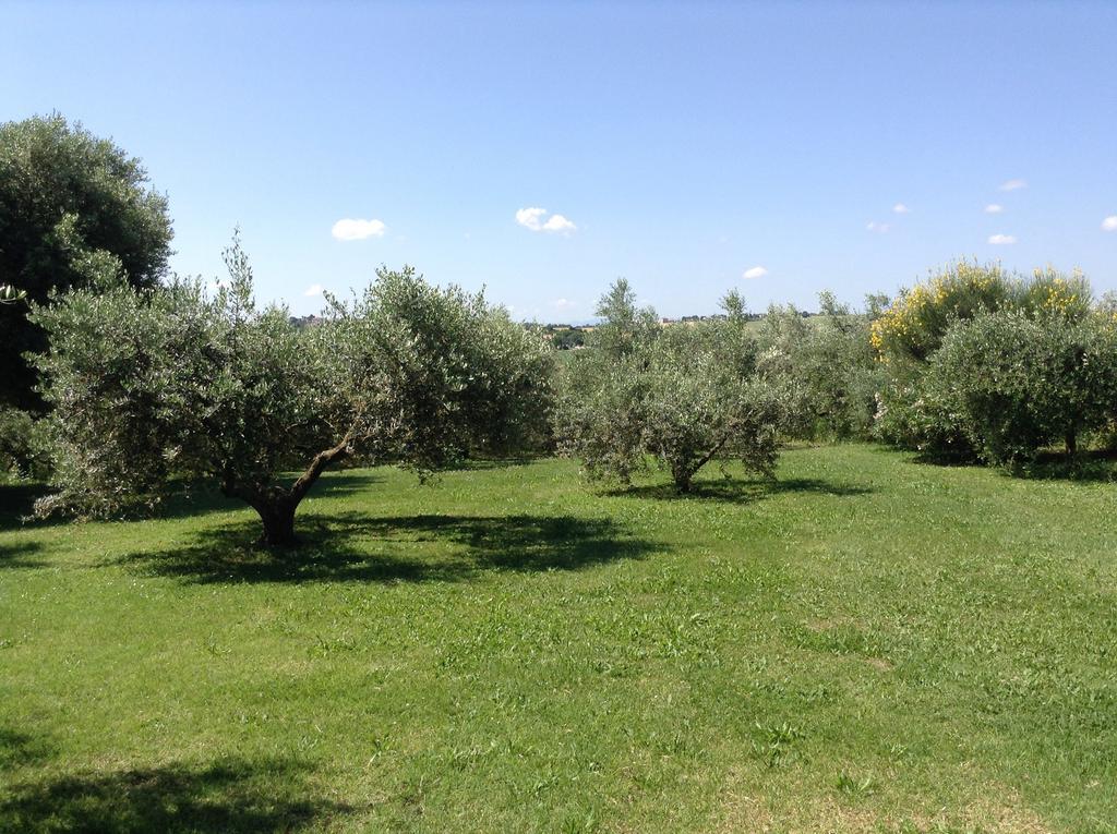 Trecentolivi B&B Montignano Exteriér fotografie