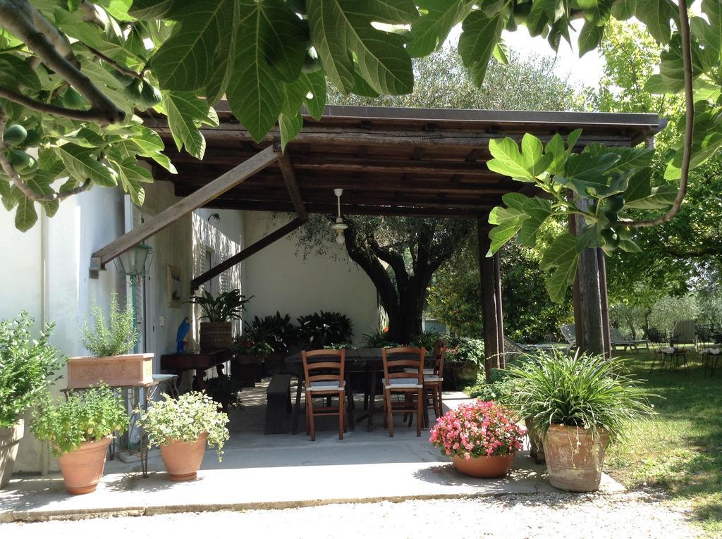 Trecentolivi B&B Montignano Exteriér fotografie