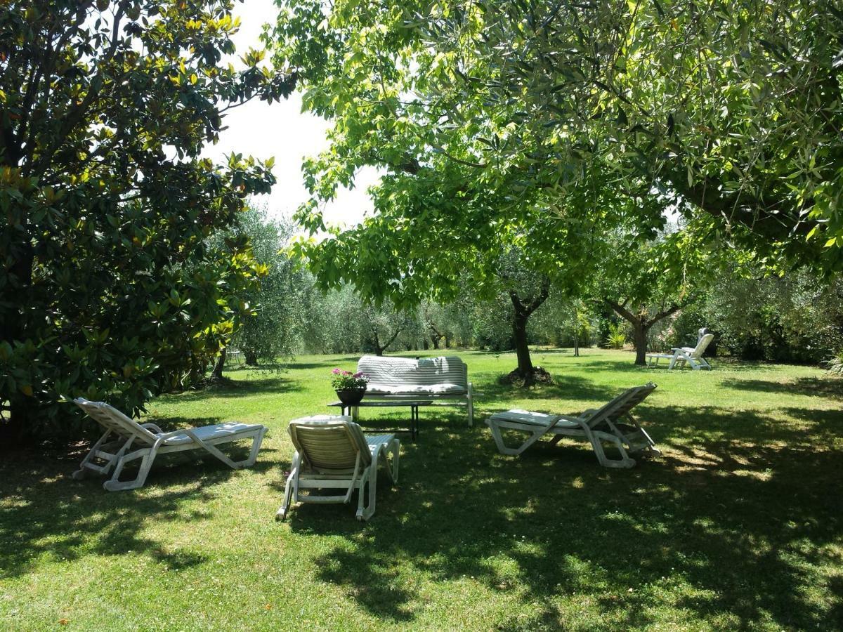 Trecentolivi B&B Montignano Exteriér fotografie