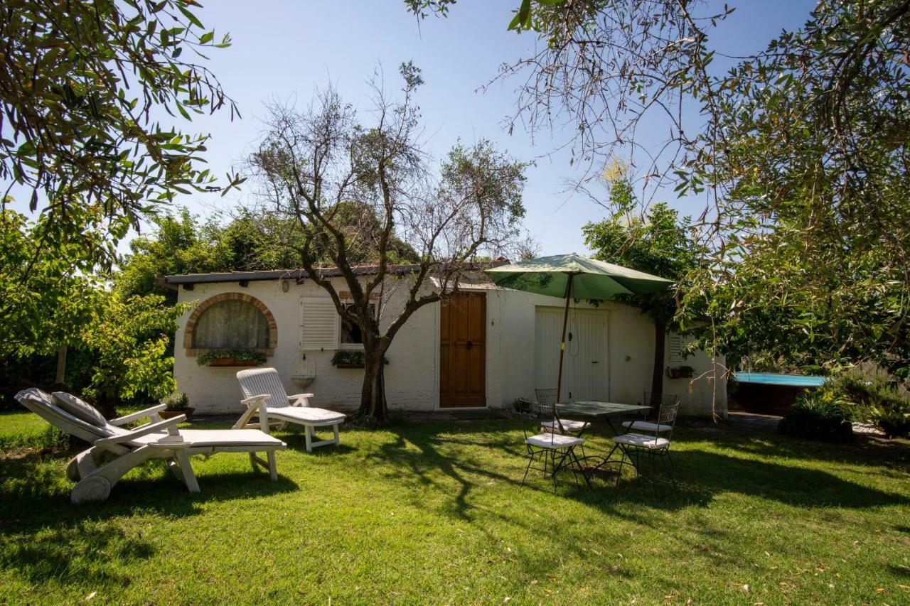 Trecentolivi B&B Montignano Exteriér fotografie