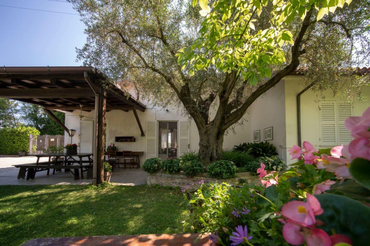 Trecentolivi B&B Montignano Exteriér fotografie