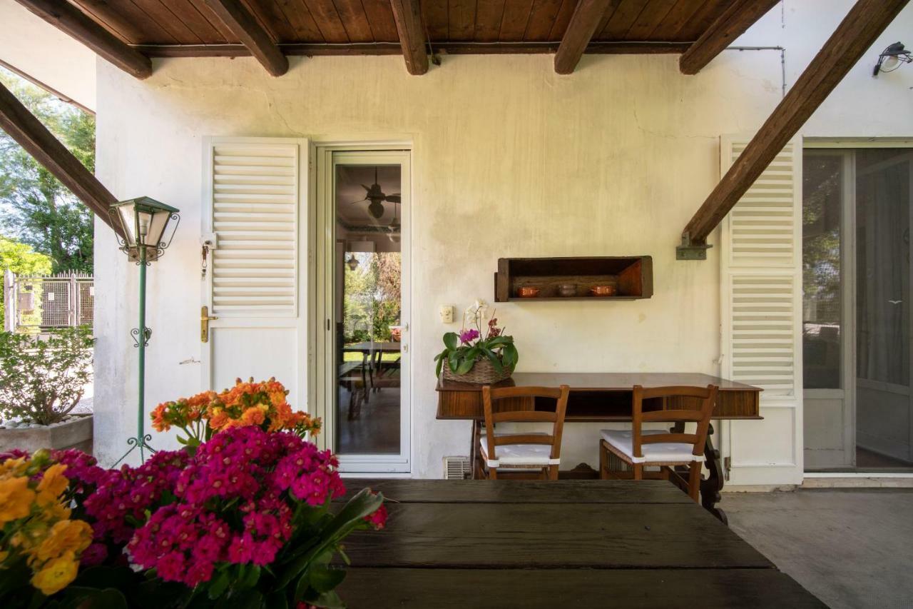 Trecentolivi B&B Montignano Exteriér fotografie